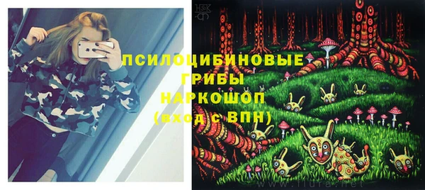 кристаллы Белокуриха