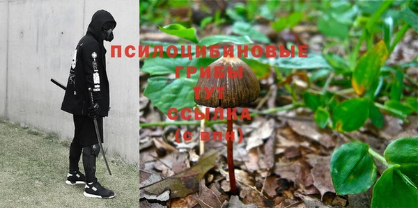 спиды Беломорск