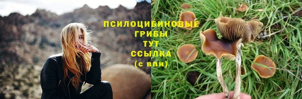 кристаллы Белокуриха