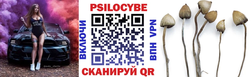 Псилоцибиновые грибы Cubensis где купить наркоту Выборг